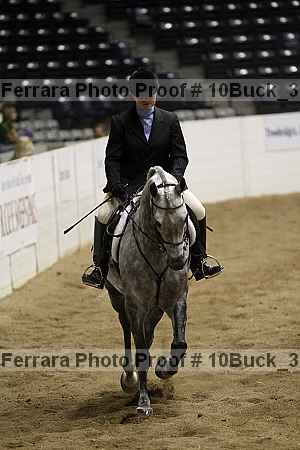Proof 10buck_3613