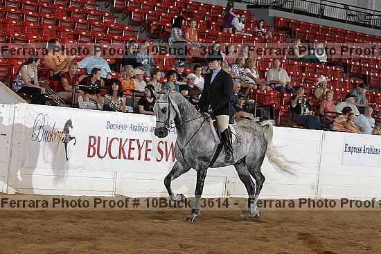 Proof 10buck_3614