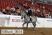 10buck_3614 proof