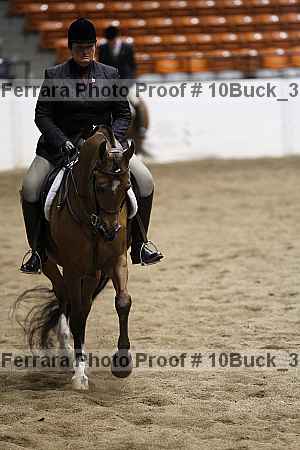 Proof 10buck_3615