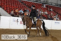 10buck_3616 proof