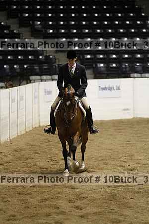 Proof 10buck_3617