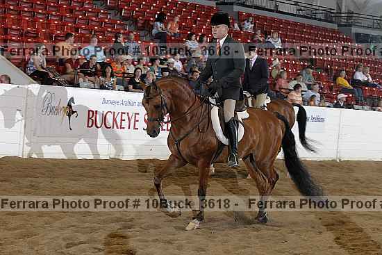 Proof 10buck_3618