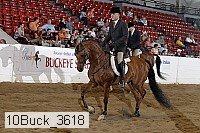 10buck_3618 proof