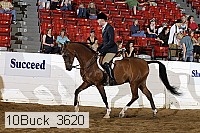 10buck_3620 proof