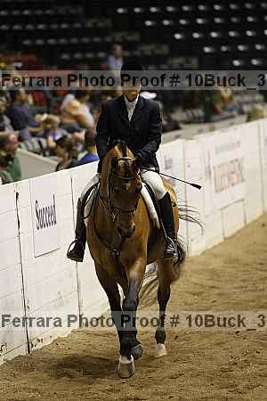 Proof 10buck_3621