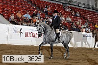 10buck_3625 proof