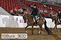 10buck_3632 proof