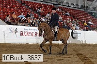 10buck_3637 proof