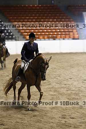 Proof 10buck_3642