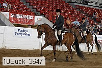 10buck_3647 proof