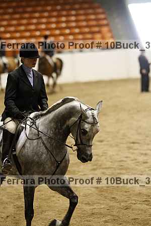 Proof 10buck_3648