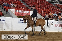 10buck_3649 proof