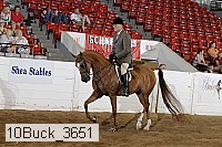 10buck_3651 proof