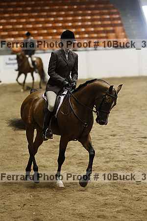 Proof 10buck_3655