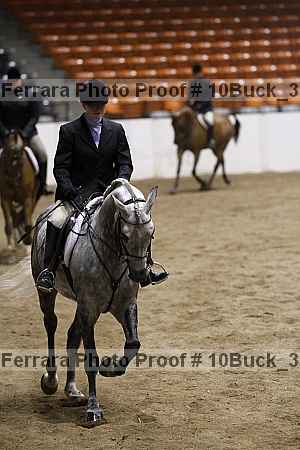 Proof 10buck_3660