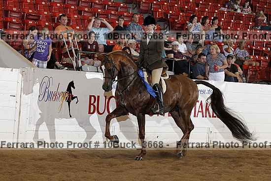 Proof 10buck_3668