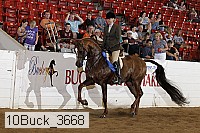 10buck_3668 proof