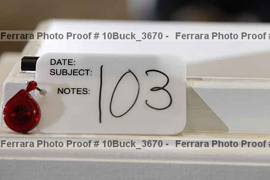 Proof 10buck_3670