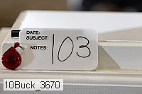 10buck_3670 proof