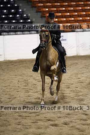 Proof 10buck_3671