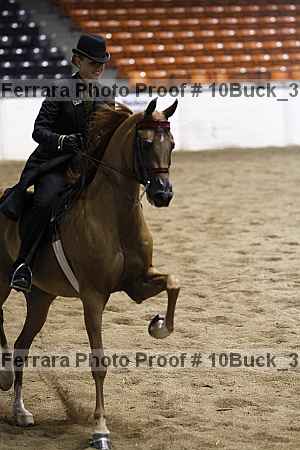 Proof 10buck_3673