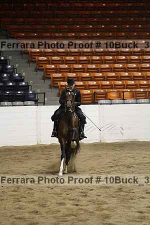 Proof 10buck_3674