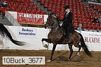 10buck_3677 proof