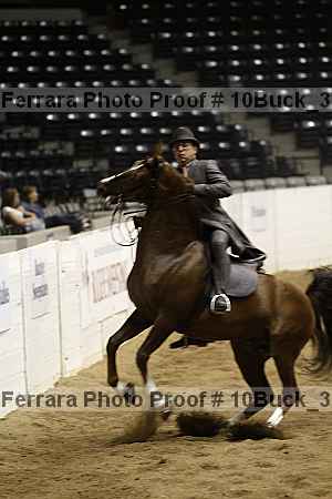 Proof 10buck_3679