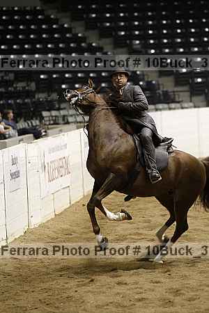 Proof 10buck_3680