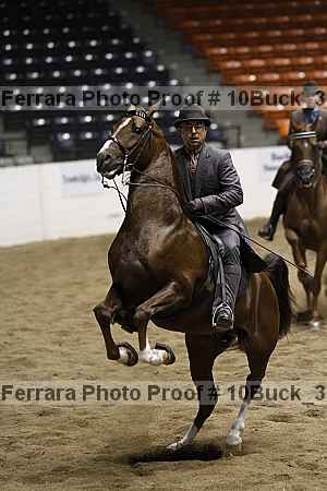 Proof 10buck_3681