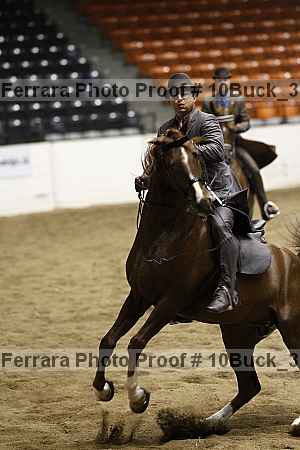 Proof 10buck_3682