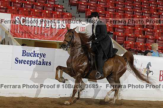 Proof 10buck_3685