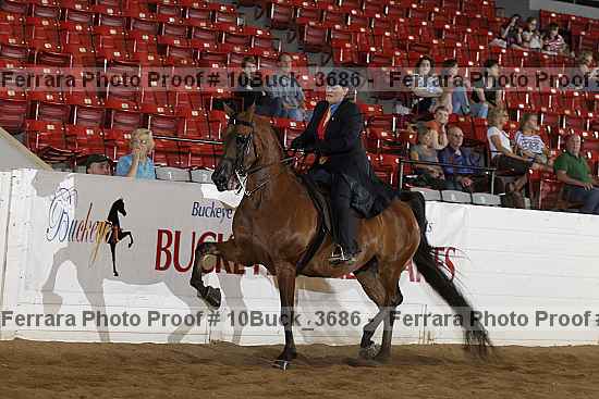 Proof 10buck_3686