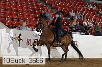 10buck_3686 proof