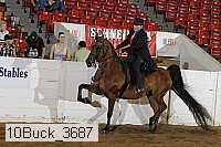 10buck_3687 proof