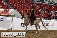 10buck_3690 proof