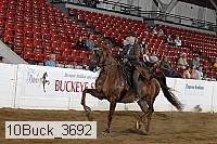 10buck_3692 proof