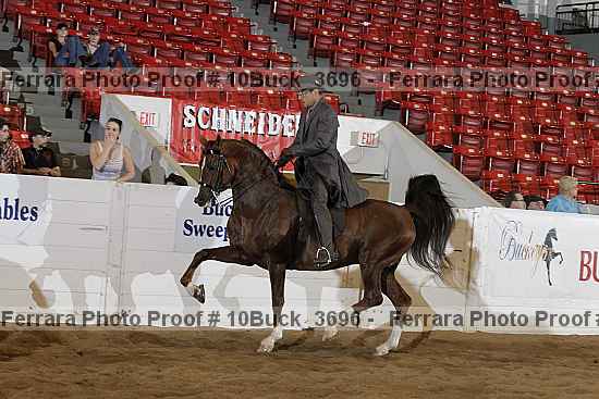 Proof 10buck_3696