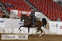 10buck_3696 proof