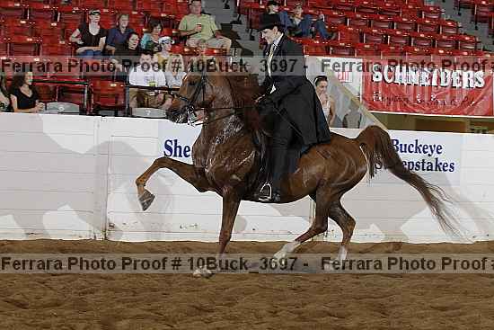 Proof 10buck_3697