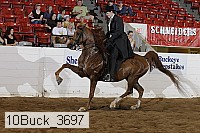 10buck_3697 proof