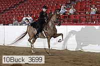 10buck_3699 proof