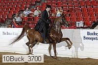 10buck_3700 proof