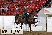10buck_3701 proof