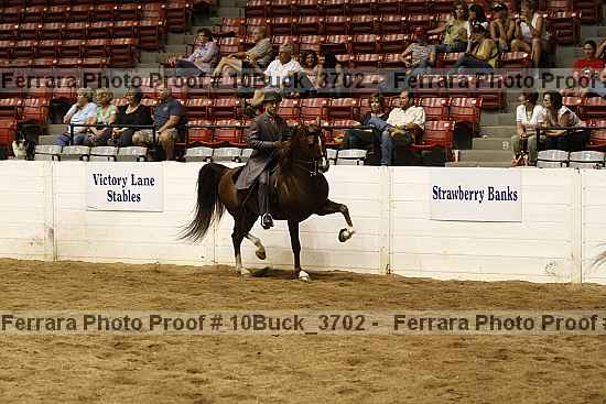 Proof 10buck_3702