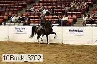 10buck_3702 proof