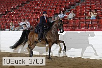 10buck_3703 proof