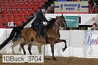 10buck_3704 proof