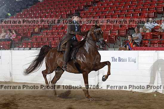 Proof 10buck_3706